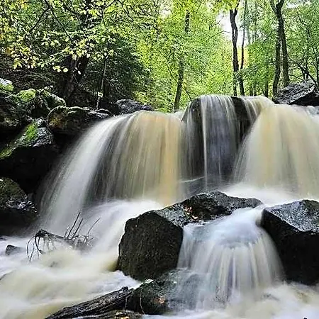 Halleux Отель